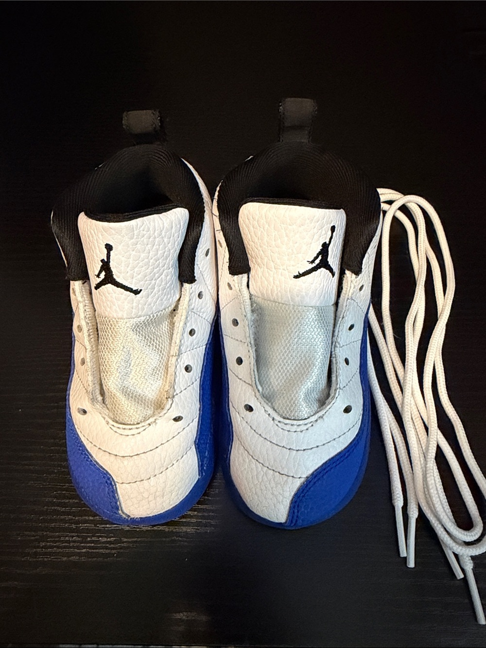 Nike Air Jordan 12 Retro